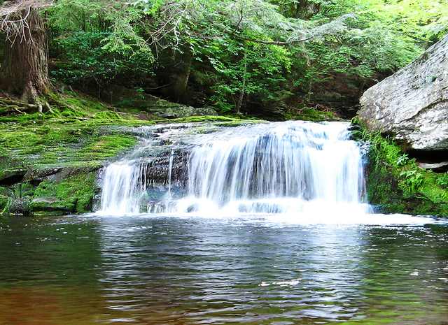 Hudson Valley Sundown Wild Forest