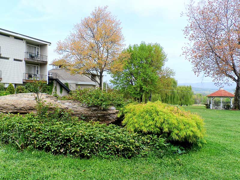 Relax at the gazebo courtyard